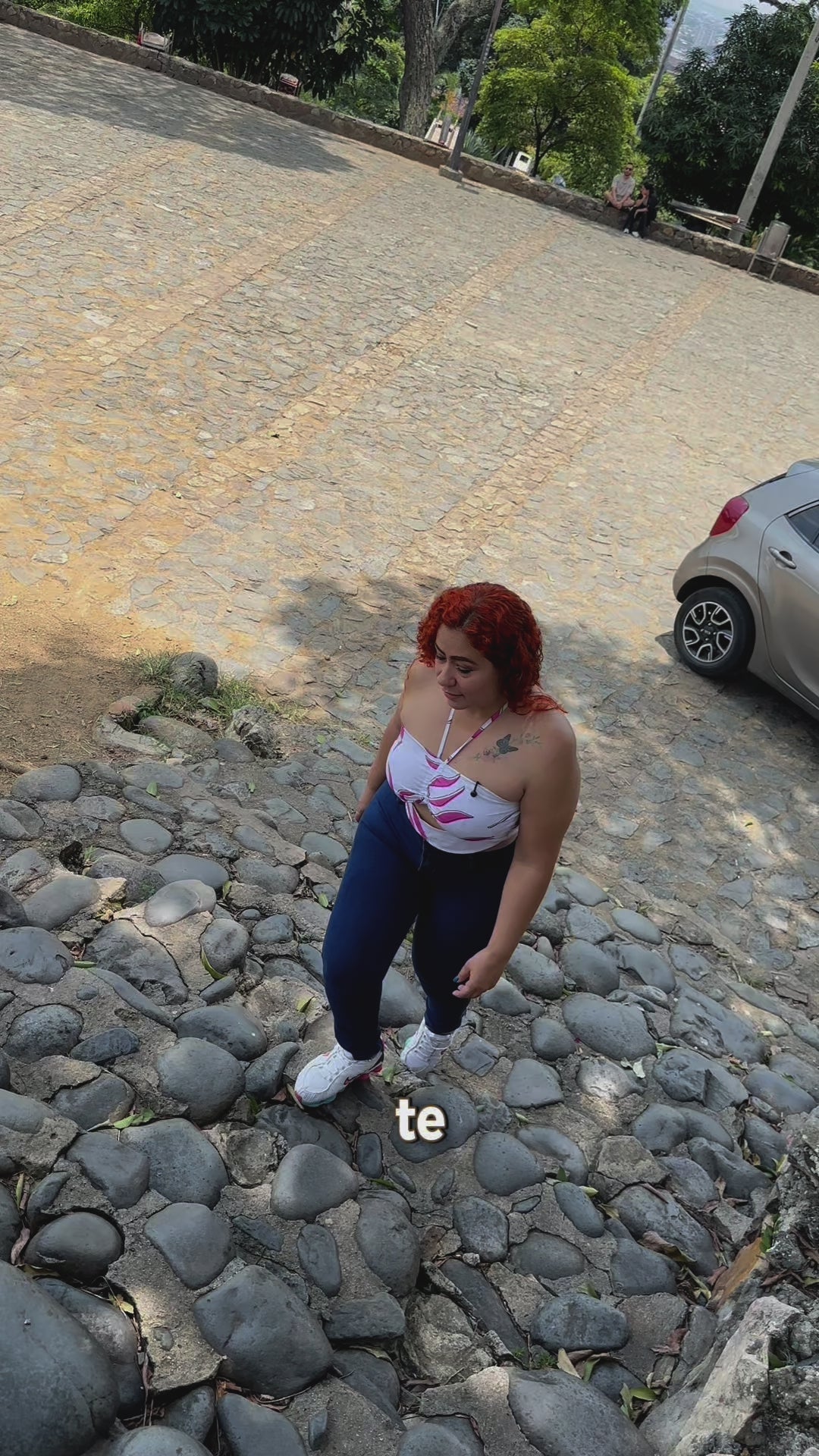 Cargar vídeo: